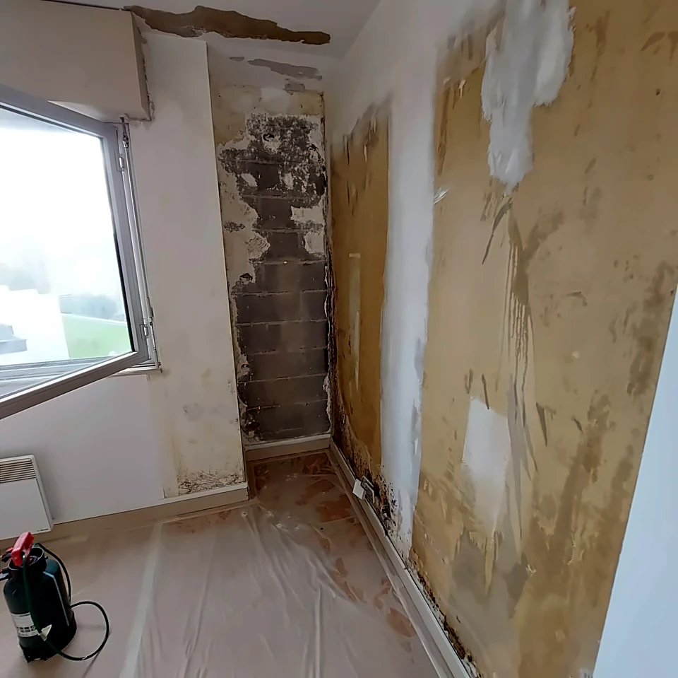 Appartement — murs dégradés avant traitement